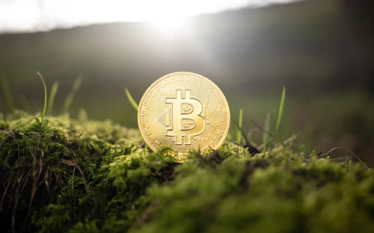Физическая монета биткоина золотистого цвета стоит на мху в мягком солнечном свете (иллюстративное фото)